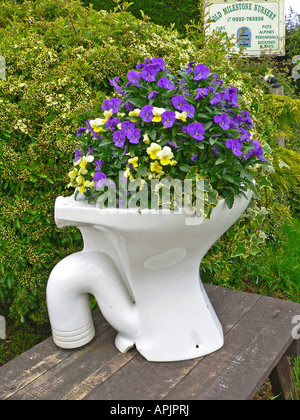 Amüsant und neuartige floral Container außerhalb einer Gärtnerei in Wiltshire England UK EU Stockfoto