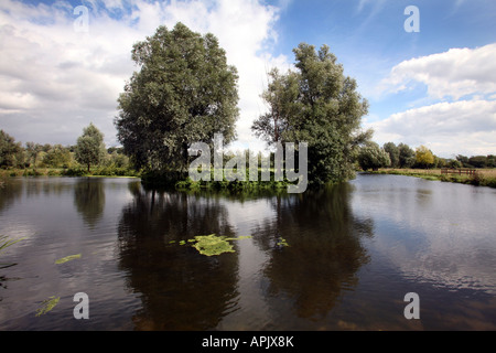 Der Fluss Stour im Herzen von Constable Country Flatford Mill in Essex Stockfoto