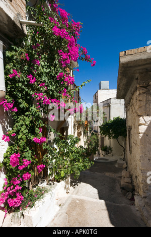 Straße im älteren Teil des Dorfes, Kritsa, in der Nähe von Agios Nikolaos, Nordostküste, Kreta, Griechenland Stockfoto