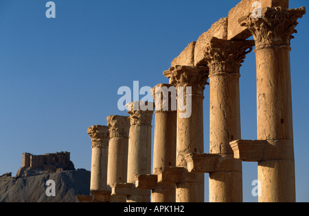 Römische Säulen entlang der großen Kolonnade, Palmyra, Syrien. Stockfoto