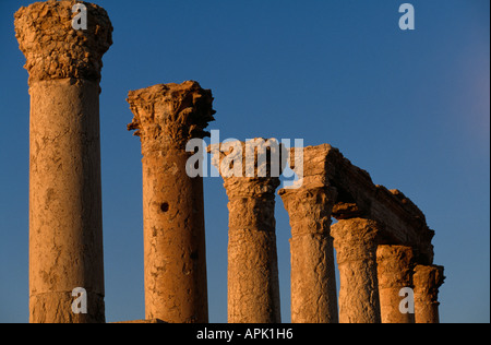 Römische Säulen entlang der großen Kolonnade, Palmyra, Syrien. Stockfoto