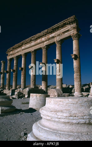 Römische Säulen, Palmyra, Syrien. Stockfoto