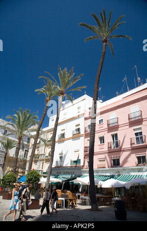 Alten Palmen gibt es überall in Cadiz Givig ein Gefühl der tropischen Ort, Stadt Stockfoto