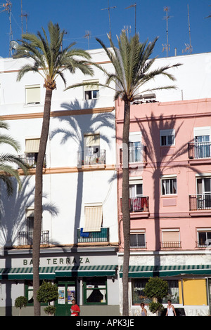 Hohe Palmen werfen ihre Schatten auf Wänden Cadiz Spanien Stockfoto