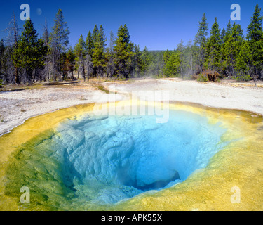 USA - WYOMING: Morning Glory Pool im Yellowstone Nat.-Park Stockfoto