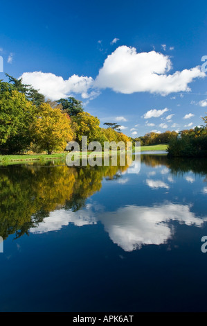 Blick auf den See im Painshill Park Cobham Surrey England UK Stockfoto