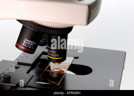 Nahaufnahme eines Mikroskops in einem Forschungslabor zeigt die objektiven und einer Rutsche Stockfoto