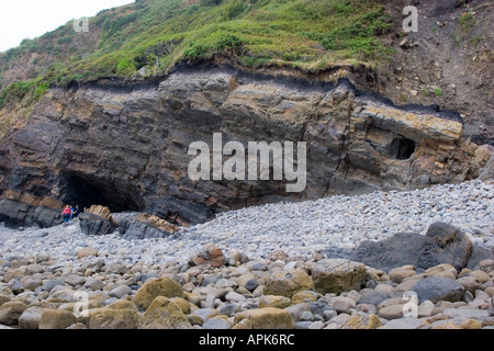 Naht der Kohle in den Klippen am Amroth in Pembrokeshire ausgesetzt Stockfoto