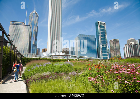 ILLINOIS-Chicago-Blumen blühen in Lurie Garden des Millennium Park Stadt Skyline im Hintergrund Menschen zu Fuß auf Bürgersteig Stockfoto