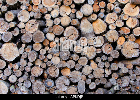 Stapel von Baumstämmen im Winter, Österreich Stockfoto