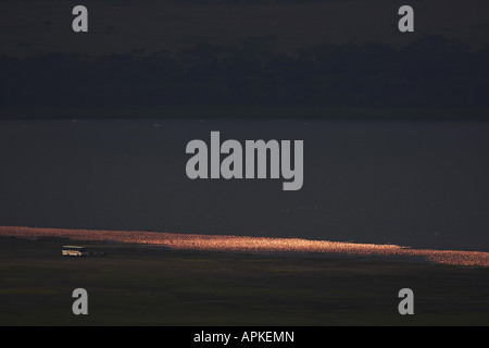 Flamingos und Verbündeten, Rosaflamingo (Phoenicopteriformes), am Lake Nakuru, Blick vom Baboon Cliff Sicht, Kenia, See Nak Stockfoto