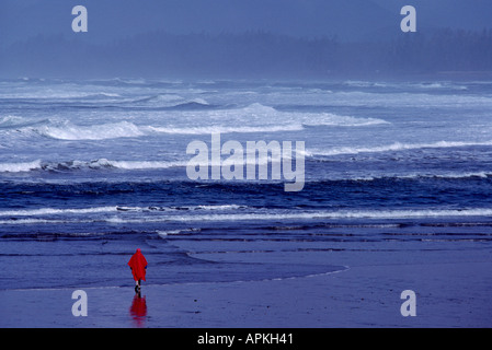Walking am Strand an der pazifischen Westküste von Vancouver Island in der Nähe von Long Beach in British Columbia Kanada Stockfoto