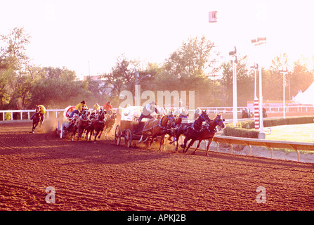 Ein Chuckwagon Rennen auf der Calgary Stampede Rodeo in der Stadt von Calgary in Alberta, Kanada Stockfoto
