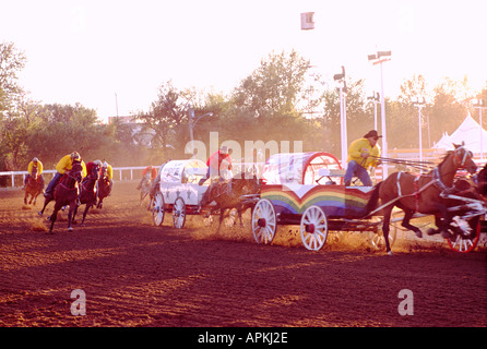 Calgary Stampede, Alberta, Kanada - Chuckwagon Rennen, Cowboys racing Chuck Wagons auf Outdoor-Rennstrecke Stockfoto