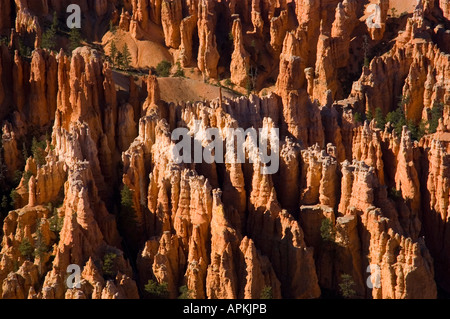 Bryce Canyon National Park Amphitheater und Hoodoos Silent Stadt von Bryce Point Stockfoto