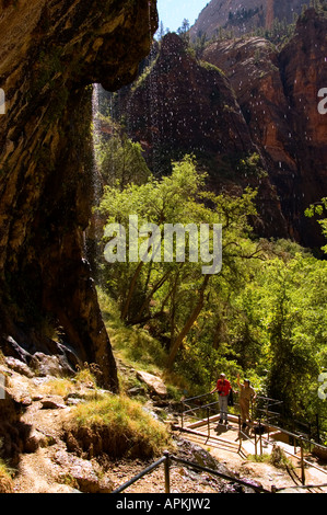 Sprühnebel aus Zion National Park Utah UT Weeping Rock Stockfoto