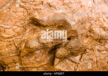 Dinosaurier-Spuren auf der Dinosaurier Discovery site Johnson Farm St. George Utah UT Stockfoto