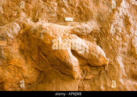 Dinosaurier-Spuren auf der Dinosaurier Discovery site Johnson Farm St. George Utah UT Stockfoto