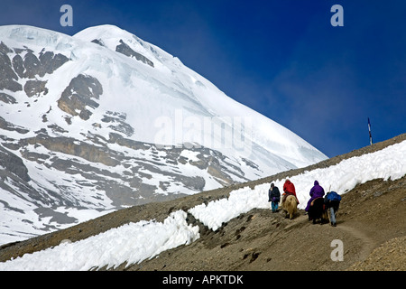 Wanderer und Yaks auf dem Weg zum Thorong-la pass (5416m). Annapurna Circuit Trek. Nepal Stockfoto