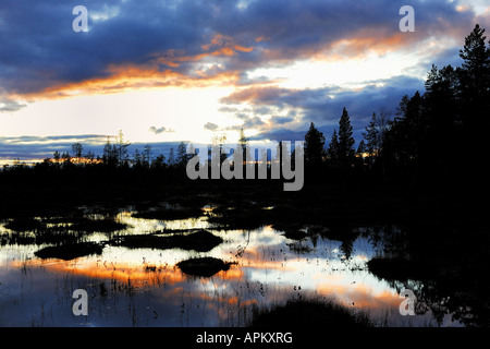 Abend Stimmung auf einem Sumpf in der Nähe von Gaellivare, Schweden, Lappland und Norrbotten Stockfoto