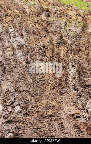 Traktorradbahnen im schlammigen Feld im Winter, Sussex, Großbritannien Stockfoto