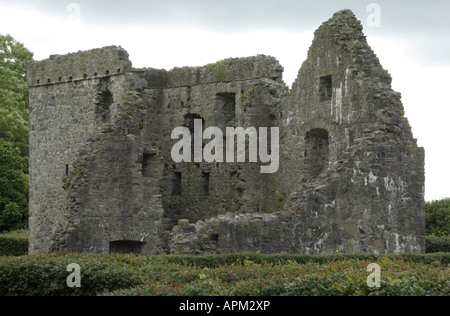 Carlingford Abbey Co Louth Irland Www Osheaphotography com Stockfoto