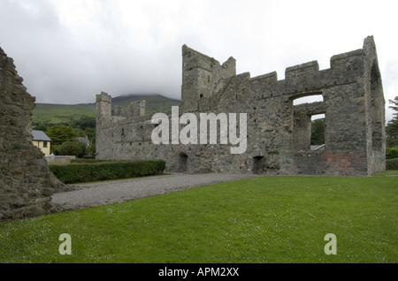 Carlingford Abbey Co Louth Irland Www Osheaphotography com Stockfoto