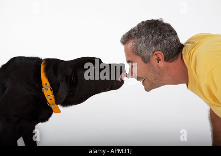 Eigentümer mit schwarzer Labrador Hund spielen Stockfoto