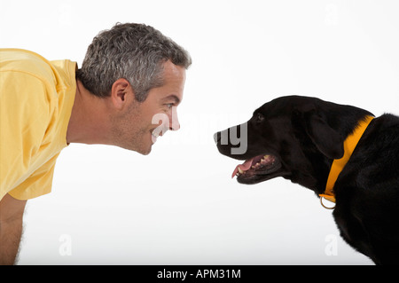 Eigentümer mit schwarzer Labrador Hund spielen Stockfoto