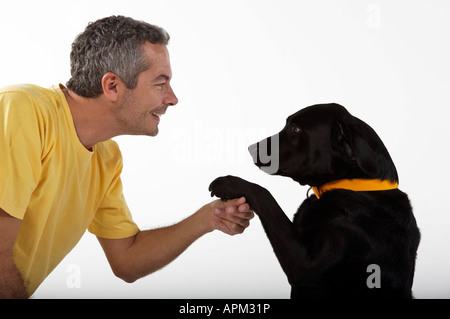 Eigentümer mit schwarzer Labrador Hund spielen Stockfoto