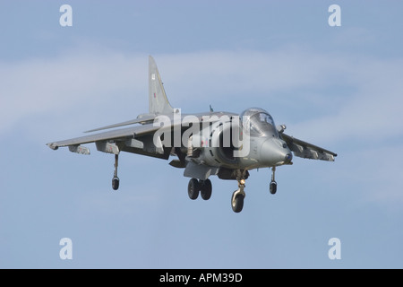 Britische Luftwaffe Hawker Siddeley Harrier GR 7 jumpjet Stockfoto