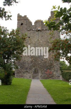 Carlingford Abbey Co Louth Irland Www Osheaphotography com Stockfoto