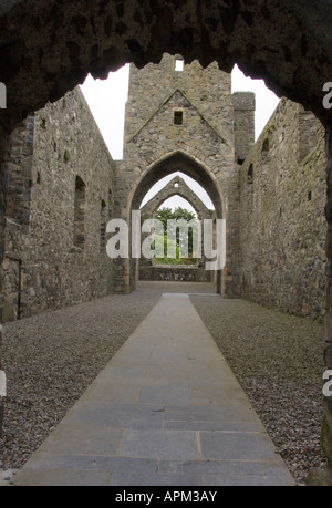 Carlingford Abbey Co Louth Irland Www Osheaphotography com Stockfoto