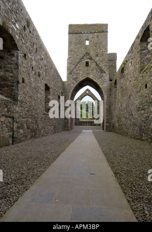 Carlingford Abbey Co Louth Irland Www Osheaphotography com Stockfoto