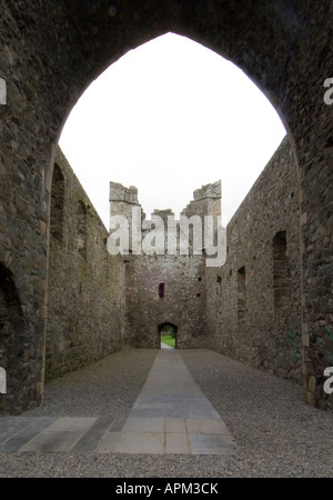 Carlingford Abbey Co Louth Irland Www Osheaphotography com Stockfoto