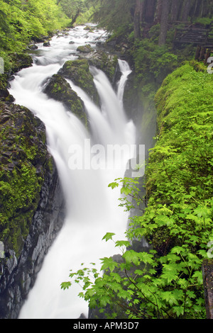 Sol Duc fällt Olympic Nationalpark Olympic Peninsula Clallam County Washington USA Stockfoto