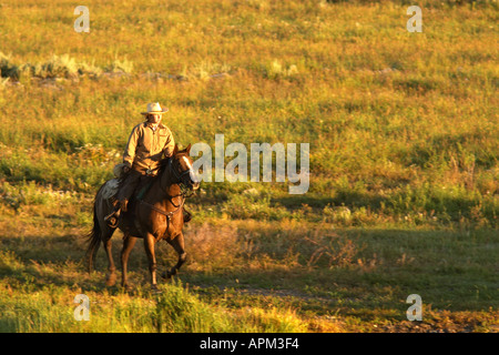 Frau auf Reiten durch Weide Dreieck X Ranch Grand Teton National Park Teton County Wyoming USA Stockfoto
