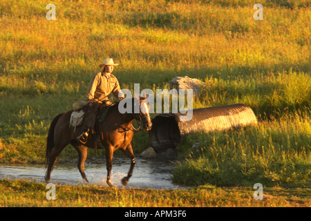 Frau auf Reiten durch Weide Dreieck X Ranch Grand Teton National Park Teton County Wyoming USA Stockfoto