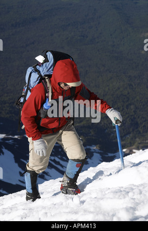 Mann in rote Jacke Klettern Schnee auf Mount Adams Yakima County Cascade Mountains Washington USA Stockfoto