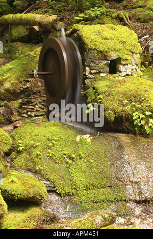 Modell Wasserrad Krafthaus Leiter Creek Falls Trail Newhalem Ross Lake National Recreation Area Washington USA Stockfoto