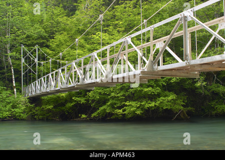 Hängebrücke über Ohanapecosh River auf den Hain des Patriarchen Trail Mount Rainier Nationalpark Washington USA Stockfoto