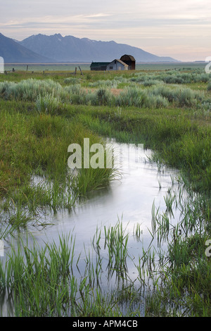 Old barns in meadow below the Grand Teton in early morning Grand Teton National Park Teton County Wyoming USA Stockfoto