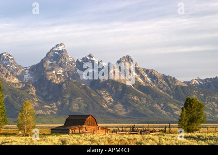 Alte Scheune und Salbei Pinsel unterhalb der Grand Teton in den frühen Morgenstunden Grand Teton National Park Teton County Wyoming USA Stockfoto