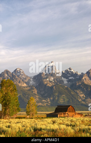 Alte Scheune und Salbei Pinsel unterhalb der Grand Teton in den frühen Morgenstunden Grand Teton National Park Teton County Wyoming USA Stockfoto