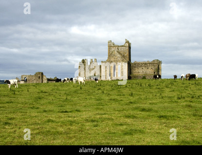 Dunbrody Abbey außerhalb New Ross Co Wexford Ireland Www Osheaphotography com Stockfoto