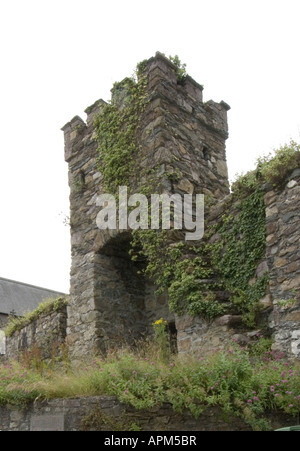 Mallin Turm Wexford Town Wände Co Wexford Ireland Www Osheaphotography com Stockfoto