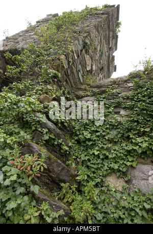 Mallin Turm Wexford Town Wände Co Wexford Ireland Www Osheaphotography com Stockfoto