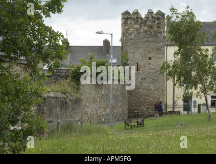 South West Tower Wexford Town Wände Co Wexford Ireland Www Osheaphotography com Stockfoto