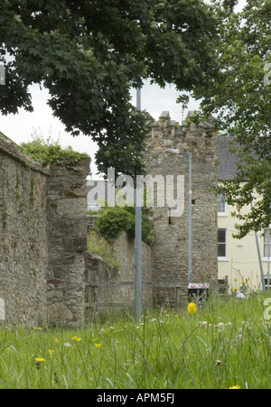 South West Tower Wexford Town Wände Co Wexford Ireland Www Osheaphotography com Stockfoto