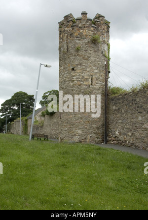 Süd-West-Turm und Wand Wexford Town Co Wexford Ireland Www Osheaphotography com Stockfoto